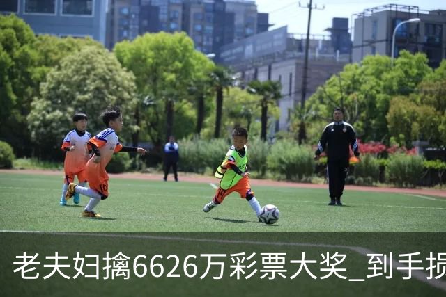 老夫妇擒6626万彩票大奖 到手损失50%决定平分
